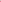 Ayla Studio Stitched PRINTED ESSENTIAL 2PC - Pink Passion