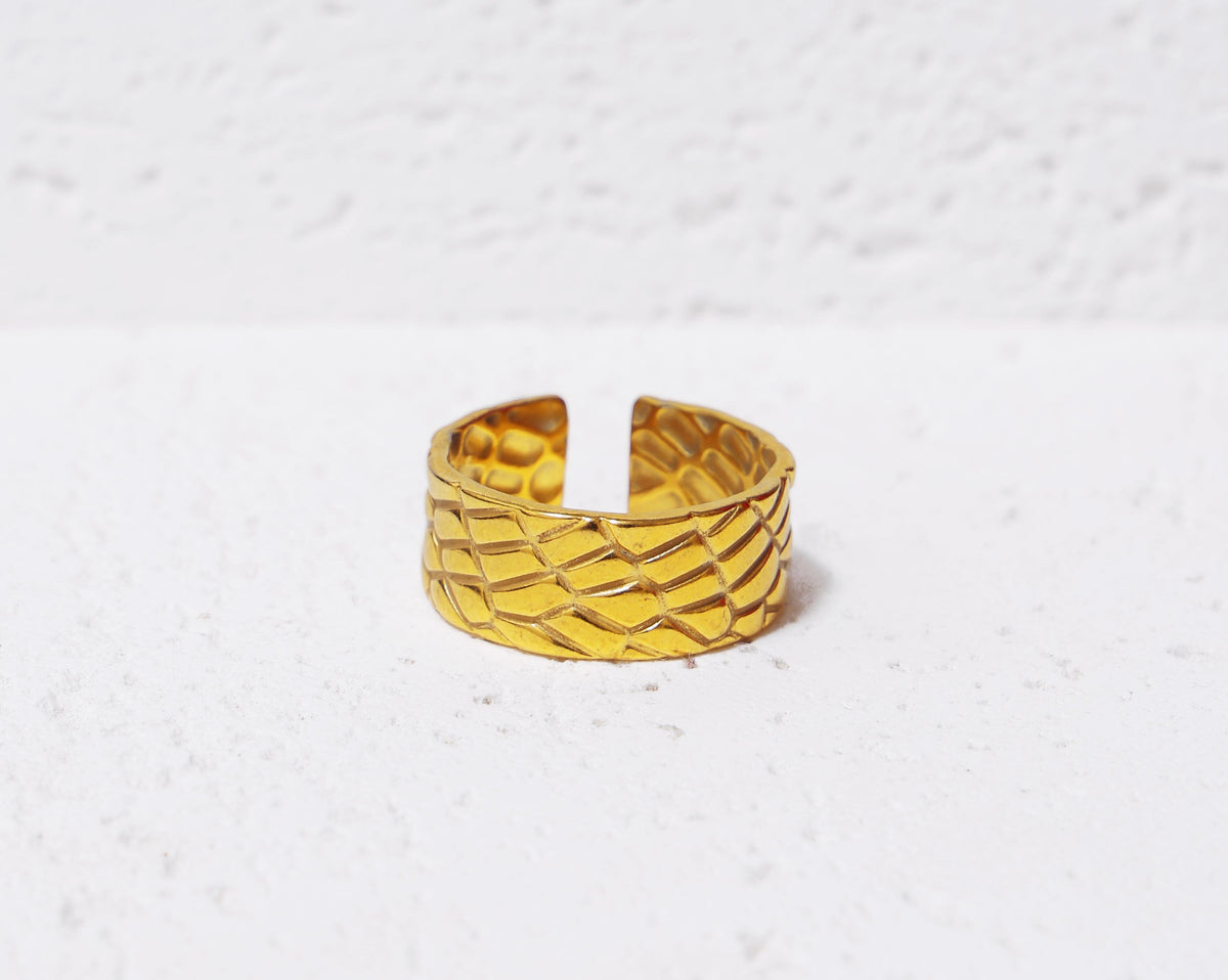Aurora Band