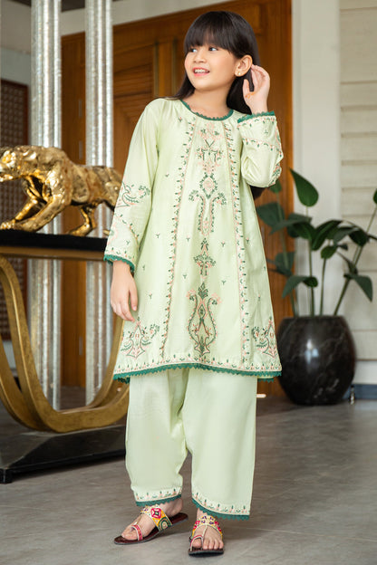 2PCS-059, Mint green cotton lawn 2 pc dress with comination of multi color embroidery (summer frindly )