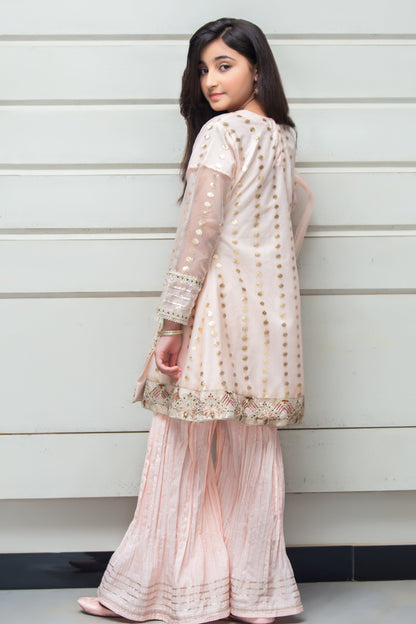 RTWFDS-004, Cream Pink color 3pcs embroidered dress