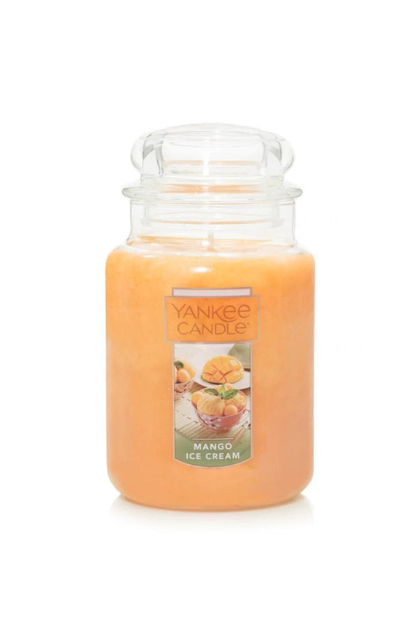 Mango Ice Cream 623 Gram