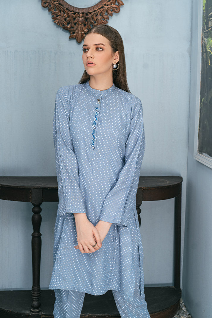 2 pc Embroidered Printed Kurta Suit WEMB-006