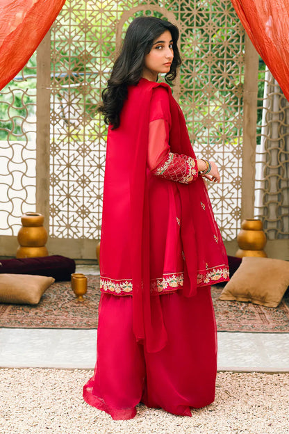 Red Embroidered Angrakha 3 Piece Suit /Organza Fabric SKU:  RTWFDS-014