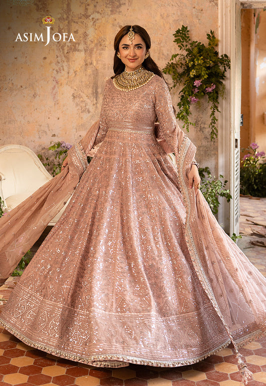 AJNB-06 EMBROIDERED CHIFFON 2 PCS