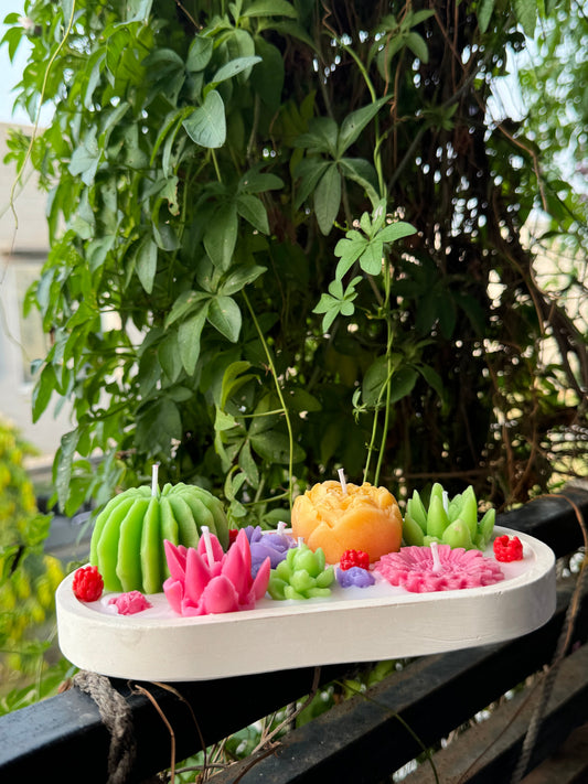 succulent-tray_2.jpg
