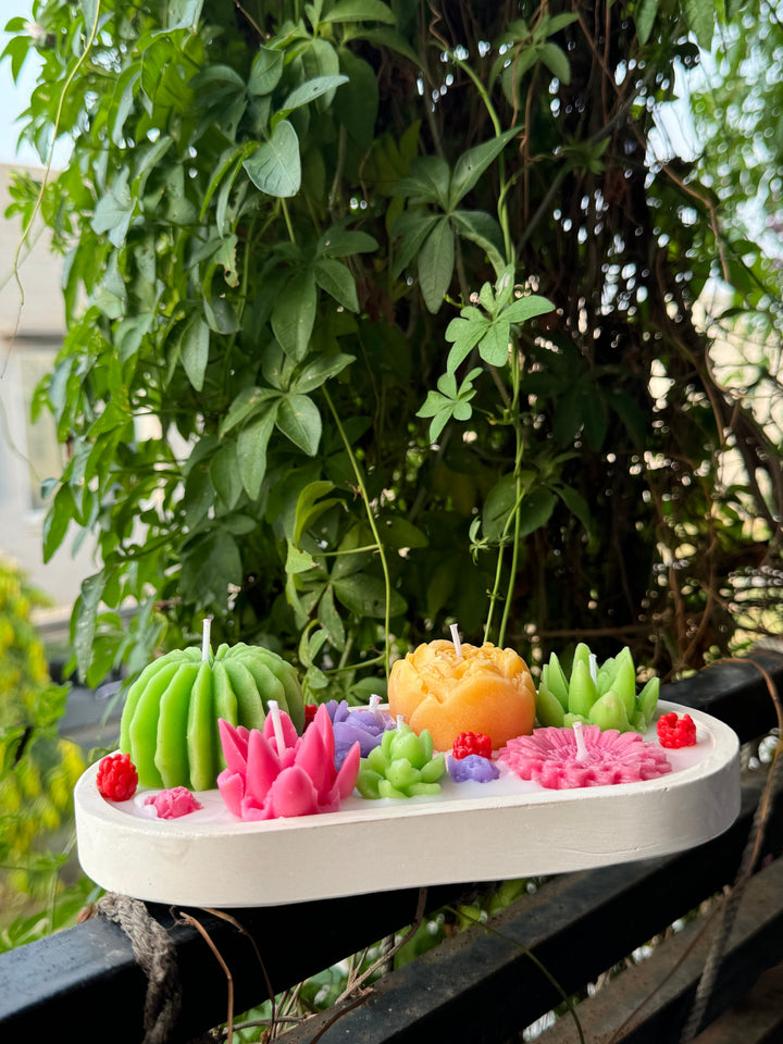 succulent-tray_2.jpg