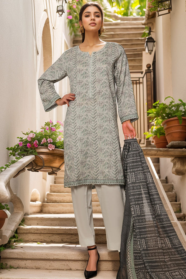 Bin Saeed Stitched 3 Piece Exc Printed Lawn Vol-03 Collection'2025-NSM-2265-Grey