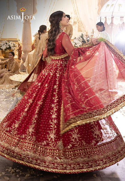 AJSH-06 EMBROIDERED NET 3 PCS