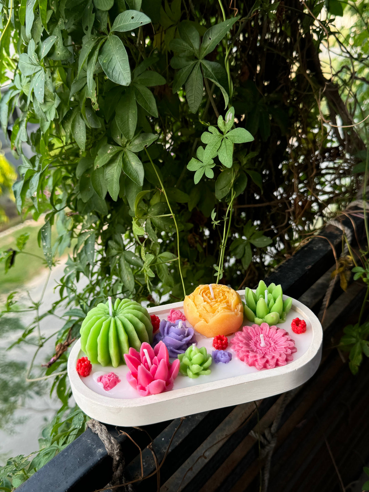 succulent-tray_4.jpg
