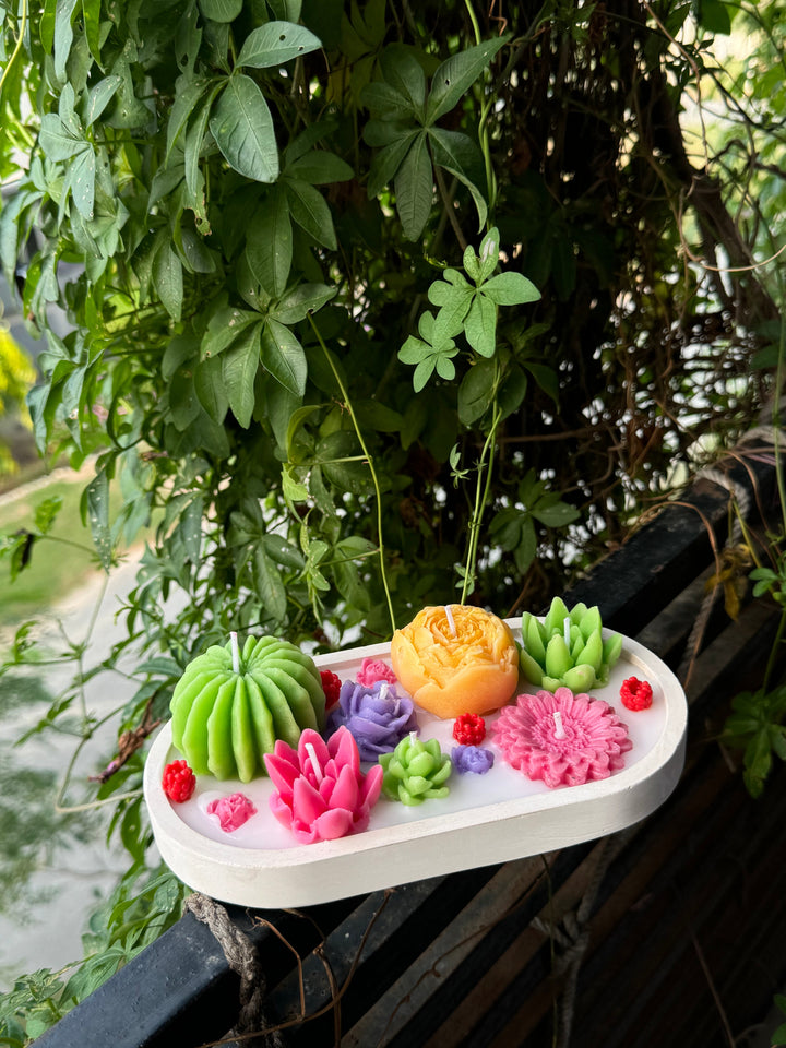 succulent-tray_4.jpg