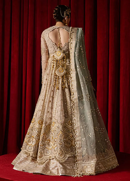 Mohsin Naveed Ranjha Embroidered Organza Suit Unstitched 4 Piece MNR24ZD Shabnami - Luxury Collection