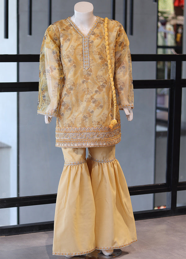 Aroob Fancy Embroidered Cotton Stitch 3 Piece Suit - ARB24G D#13A