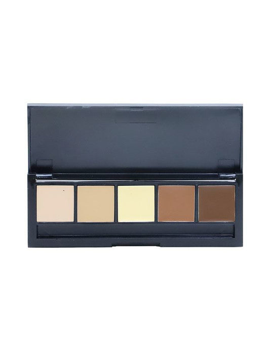 Chiseled Face Contour Palette