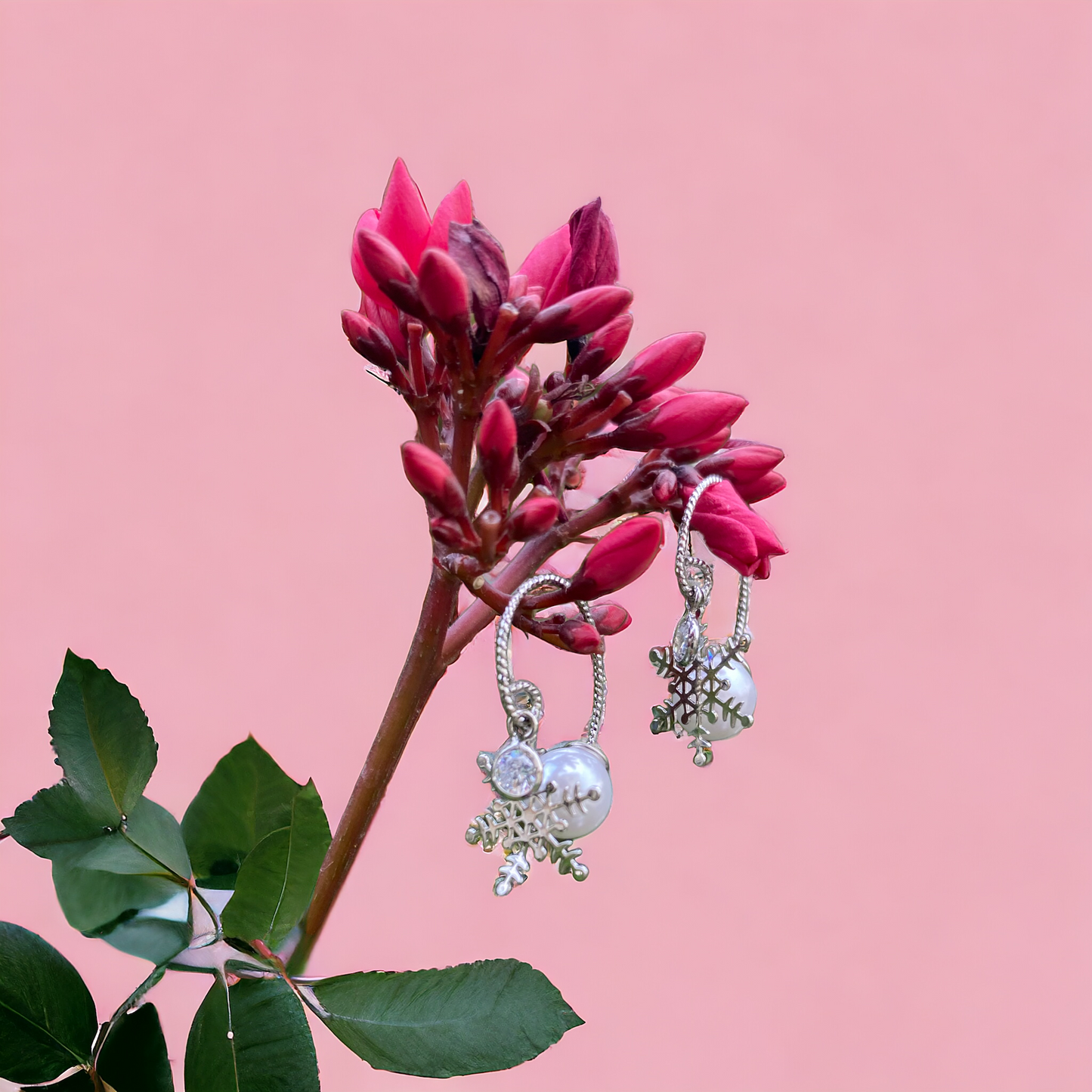 Buy Finesse Earings 005 in Pakistan