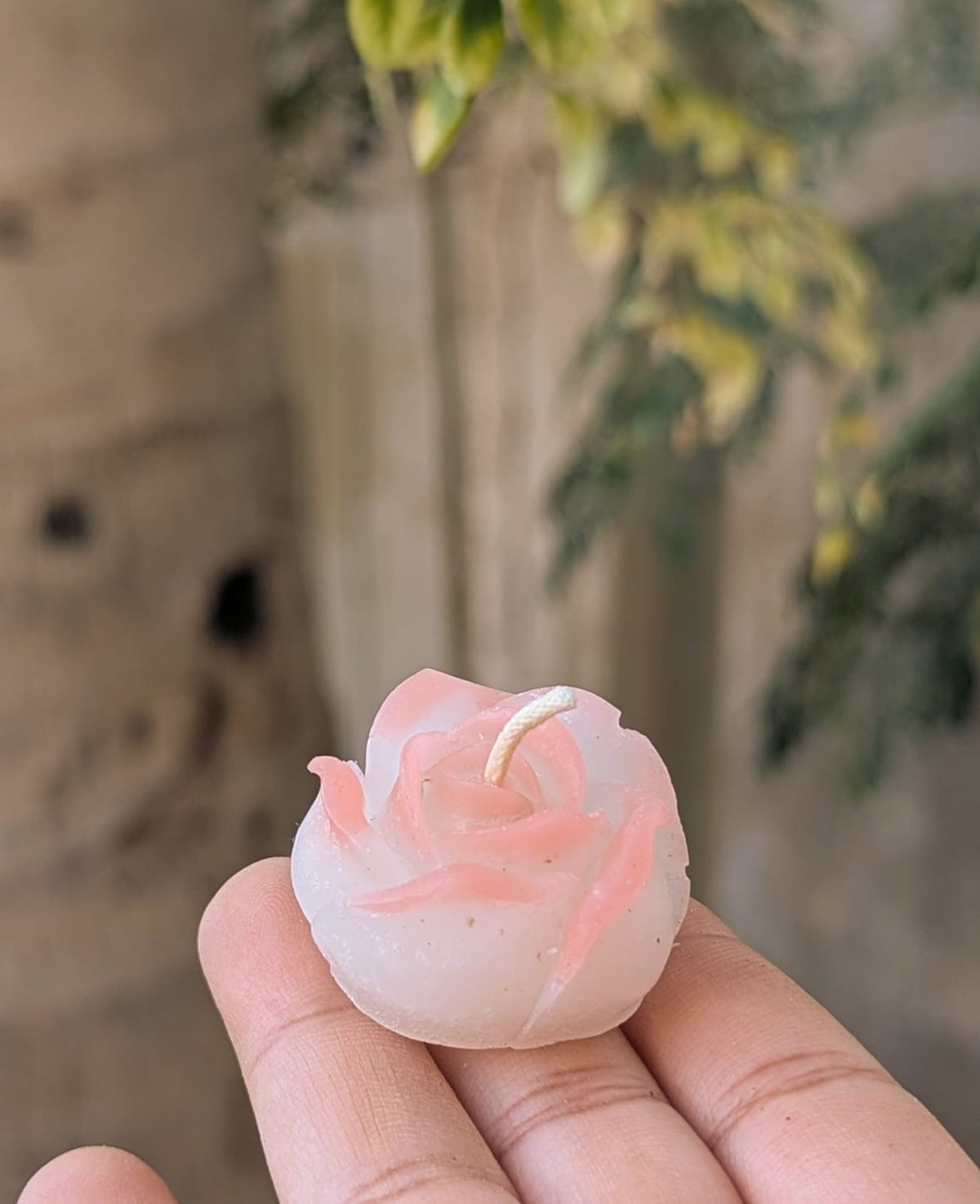 Floating candles (Pink rose)