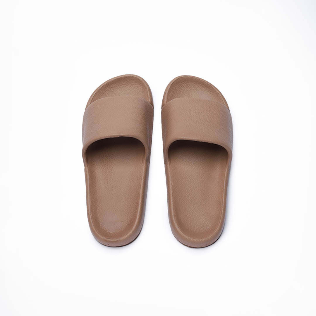 Canary (Brown)
