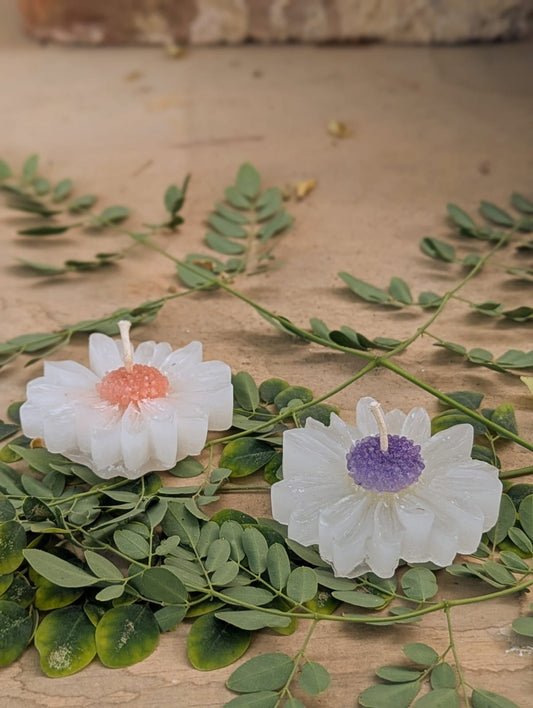 Floating candles (Daisy)