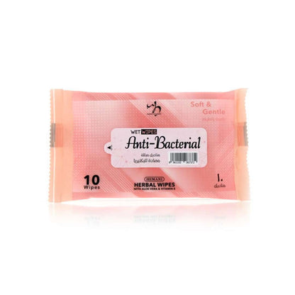 Wet Wipes - Antibacterial (10)