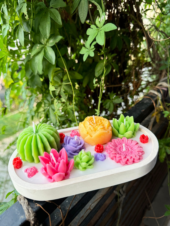 succulent-tray_1.jpg