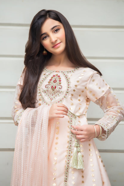 RTWFDS-004, Cream Pink color 3pcs embroidered dress