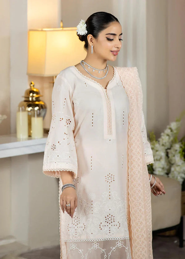 NK-Haseen Luxury ChikaNKari-NK-C2-11