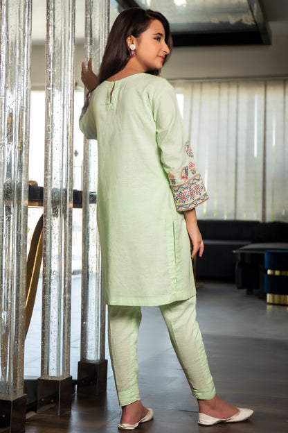 2PCS-061, Green lawn cotton 2 pc dress with mutli color embroidery