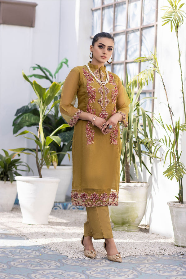 Ketifa Unstitched 2 Piece Festive Wedding Collection'2025-Nr 0101