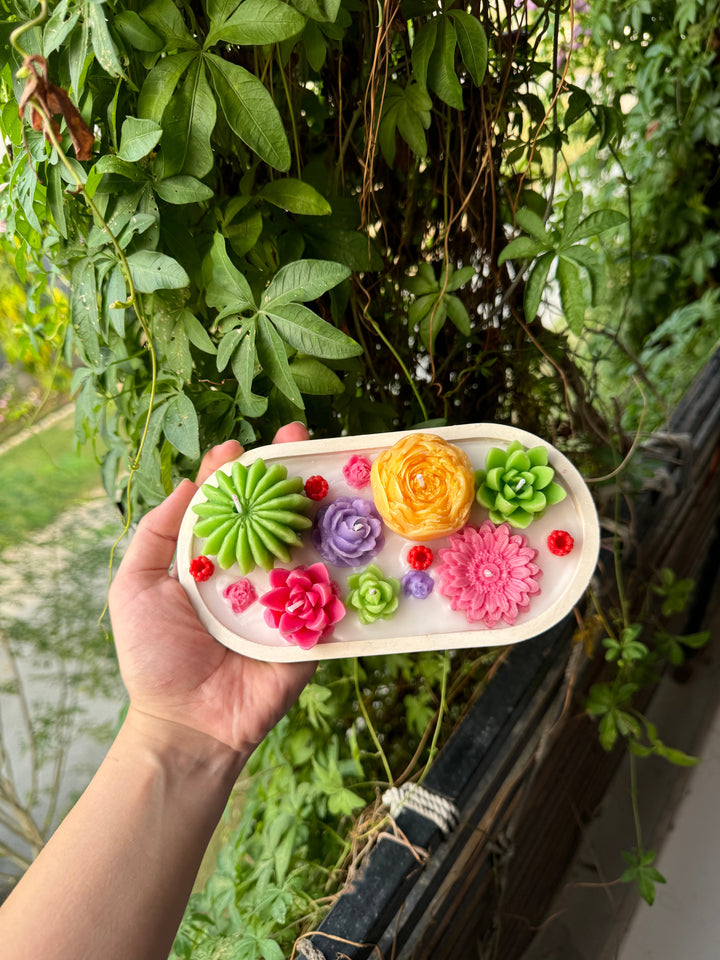 succulent-tray_3.jpg