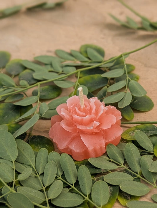 Floating candles (Red rose)