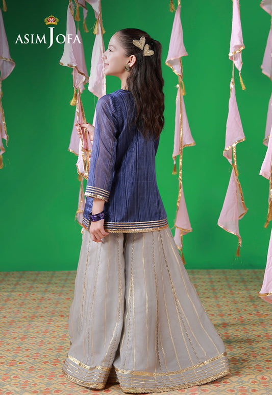 AJKL-10 Organza Blue Lines Stitched 2 Pcs