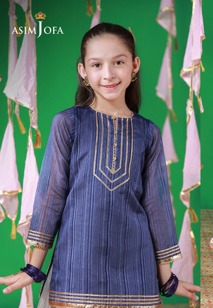 AJKL-10 Organza Blue Lines Stitched 2 Pcs