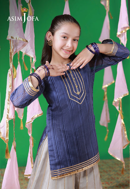 AJKL-10 Organza Blue Lines Stitched 2 Pcs