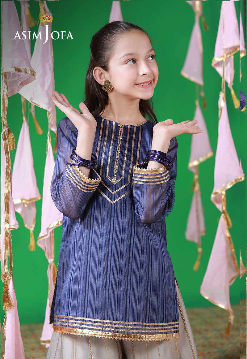 AJKL-10 Organza Blue Lines Stitched 2 Pcs