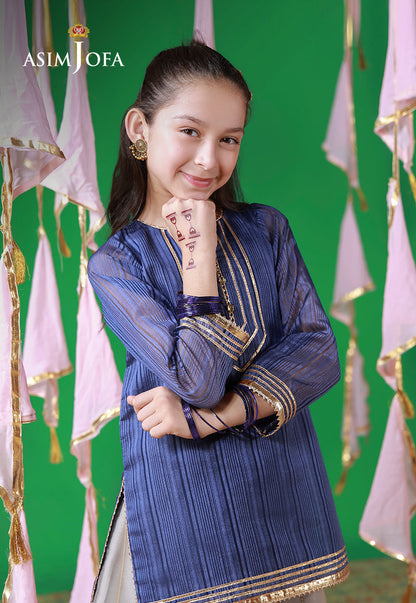 AJKL-10 Organza Blue Lines Stitched 2 Pcs