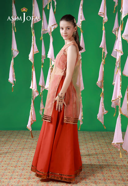AJKL-01 Organza Stitched 2 Pcs