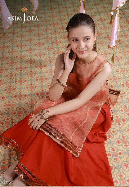AJKL-01 Organza Stitched 2 Pcs