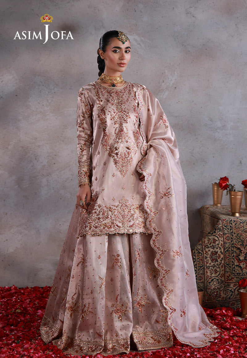 AJULN-15 Embroidered Zari Tissue Net Unstitched 3 Pcs