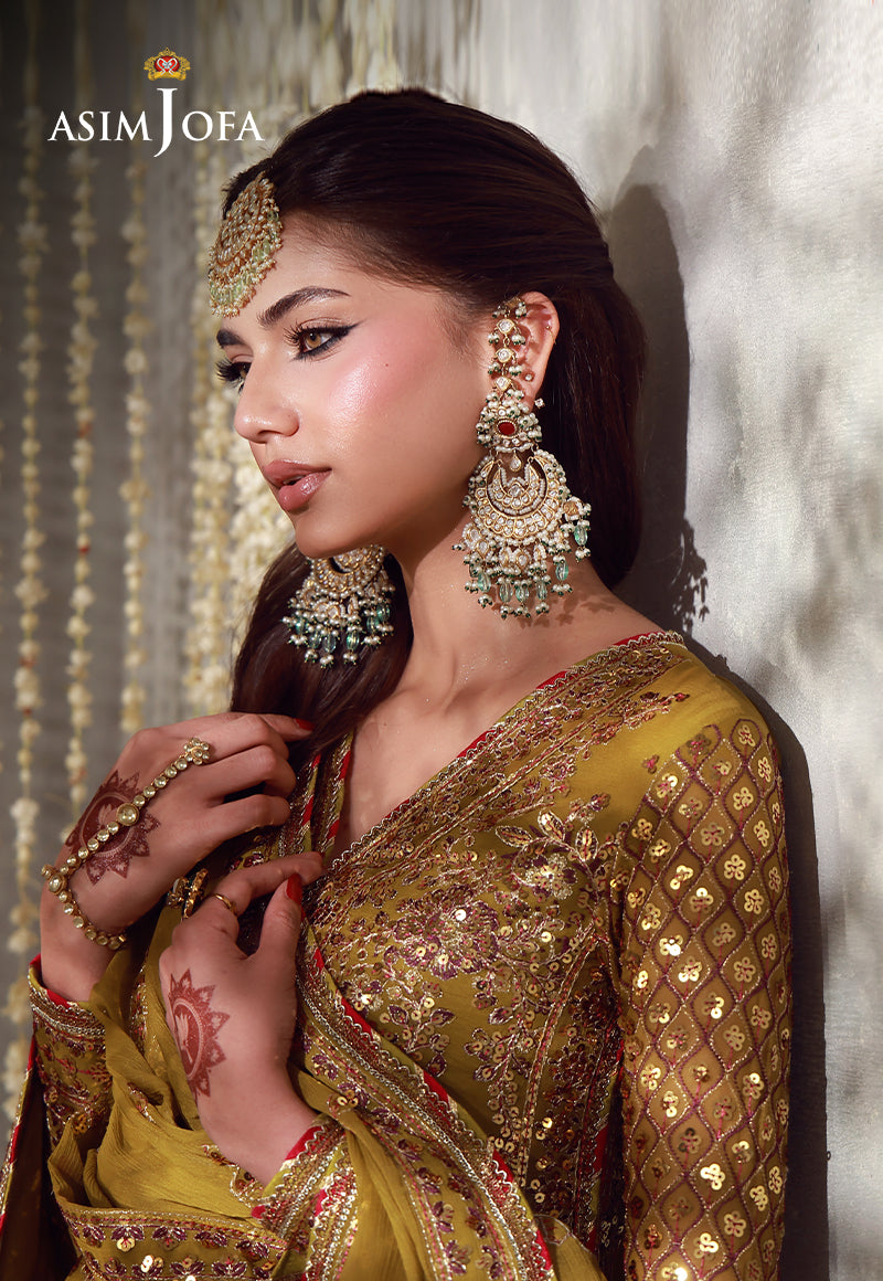 AJULFE-02 Embroidered Chiffon Unstitched 3 Pcs