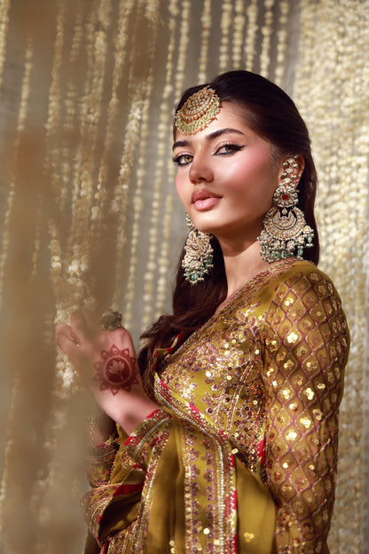 AJULFE-02 Embroidered Chiffon Unstitched 3 Pcs