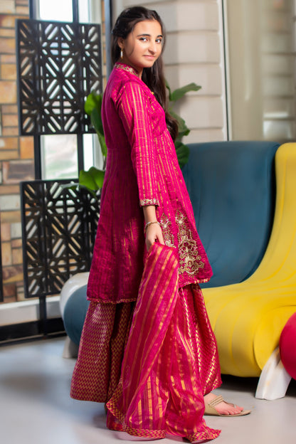 RTWFDS-001, Dark pink dress with the combination or golden brown embroidery on orgenza jaquard