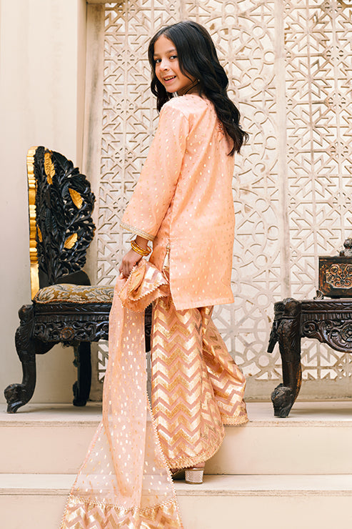 Peach Orange Mini Girls Semi Formal 3 PCS Suit SKU: MGF-006