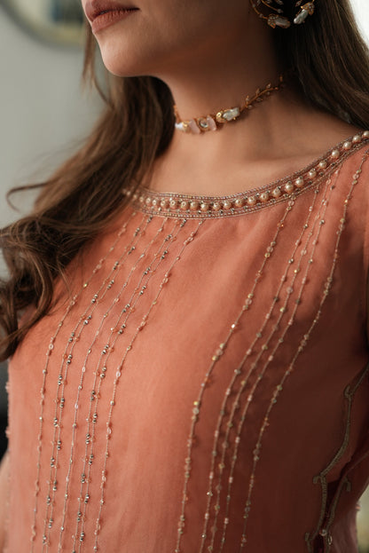 Red Velvet Choker Necklace