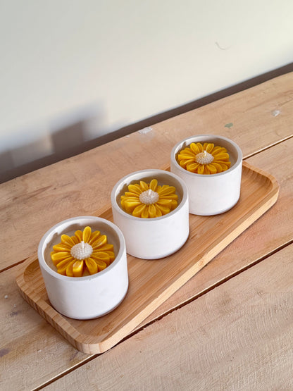 yellow-daisy_3.jpg