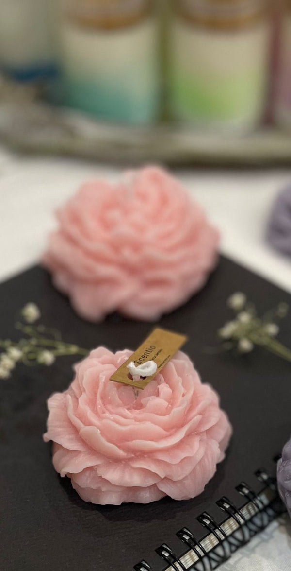 Peony small