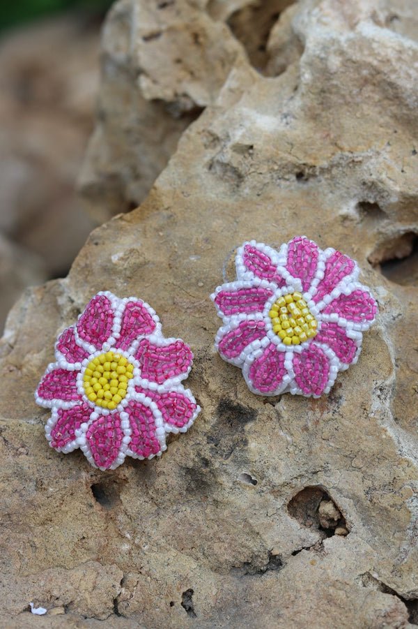 Pink Daisy