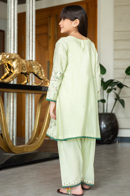 2PCS-059, Mint green cotton lawn 2 pc dress with comination of multi color embroidery (summer frindly )