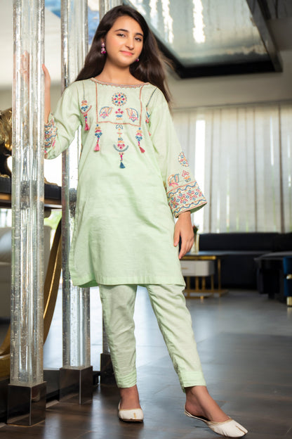 2PCS-061, Green lawn cotton 2 pc dress with mutli color embroidery