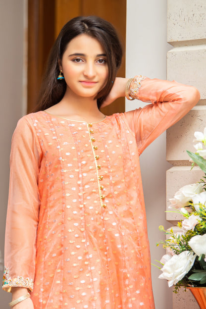 RTWFDS-005, 3pc Organza Suit with Embroidery and Embellishment