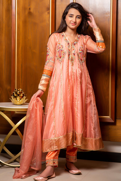 RTWFDS-003, soft organza 3pc dress with embroidery and panels .