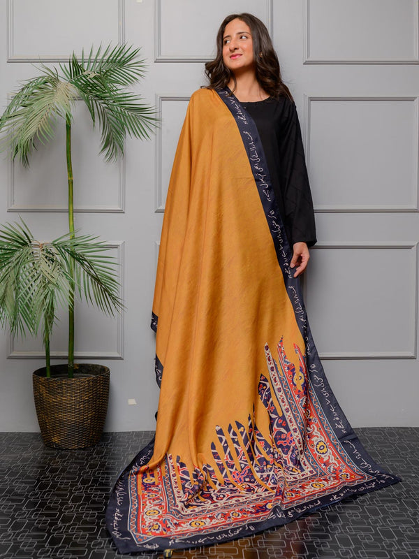 TNG Odhni Collection-Nadaan Odhni